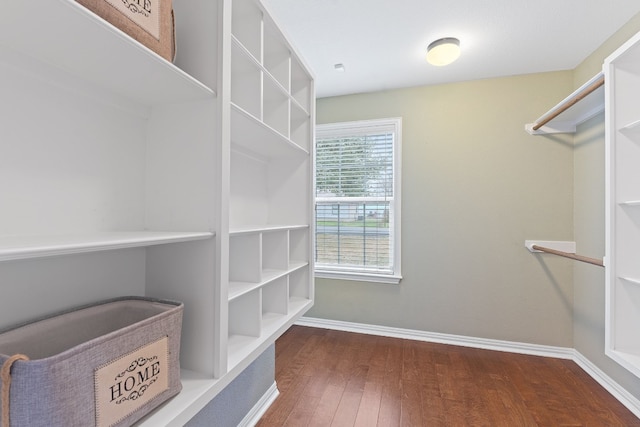 spacious closet featuring dark hardwood / wood-style floors