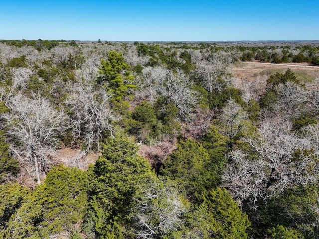 Listing photo 3 for LOT2 S Old Potato Rd, Paige TX 78659