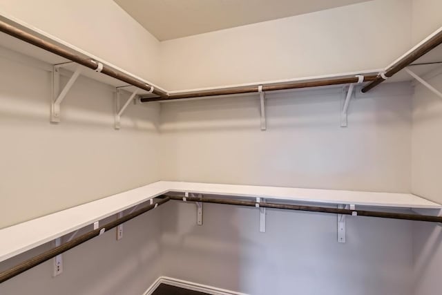 10801 Dimitrios Dr, Austin, TX 78747 - view of walk in closet