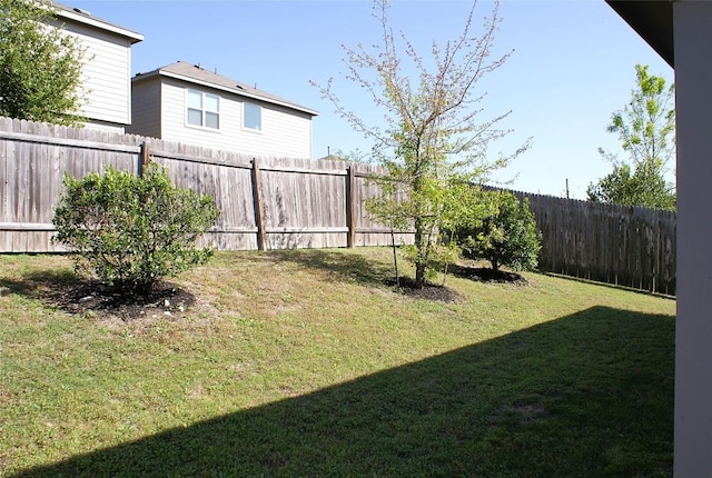 10801 Dimitrios Dr, Austin, TX 78747 - view of fenced backyard