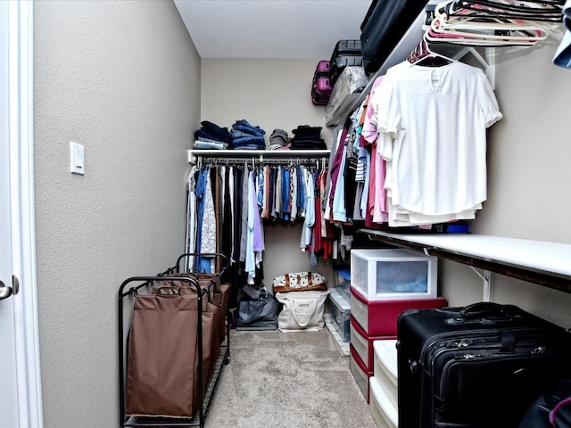 1533 Cresson Trl, Leander, TX 78641 - spacious closet featuring carpet flooring