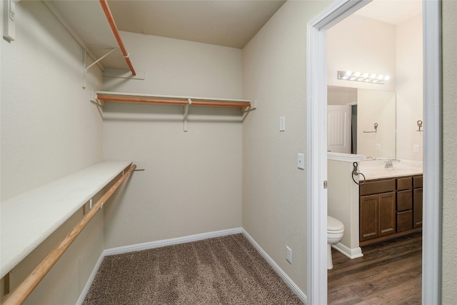 18825 Golden Eagle Way, Elgin, TX 78621 - spacious closet featuring dark wood-style flooring and a sink