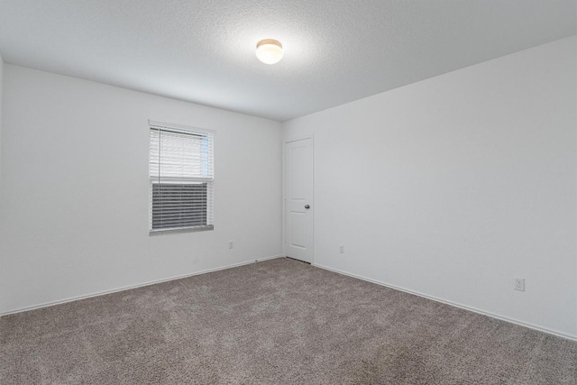 unfurnished room with carpet and a textured ceiling