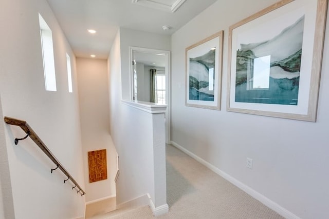 staircase featuring carpet floors