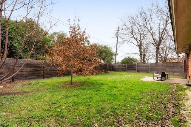 view of yard with a patio area