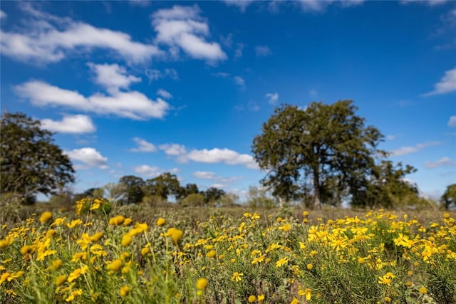 TBD Zack Ln, Smithville, TX 78957