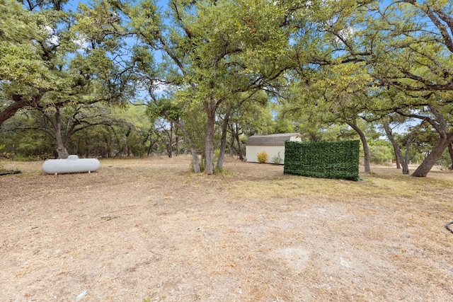 view of yard featuring an outdoor structure and a shed