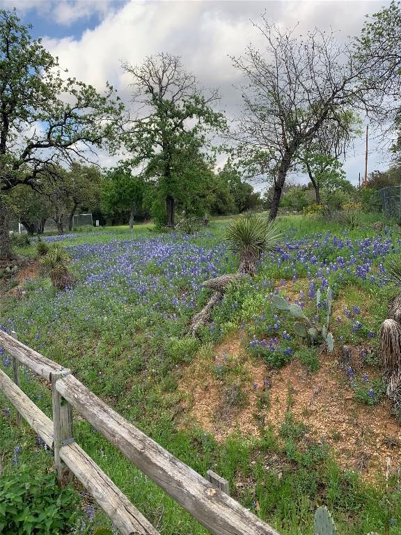 148 W Castleshoals Dr, Granite Shoals, TX 78654 - view of yard