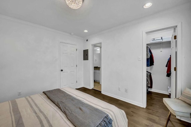 bedroom featuring crown molding, a walk in closet, dark hardwood / wood-style floors, and electric panel