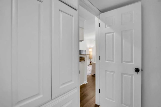 hallway featuring dark wood-type flooring