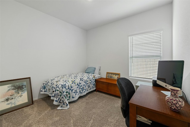 bedroom with carpet