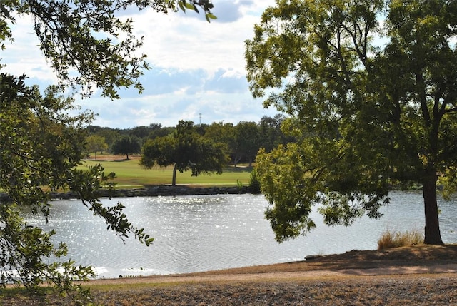 823 Hamilton Ln, Georgetown, TX 78633 - photo 39