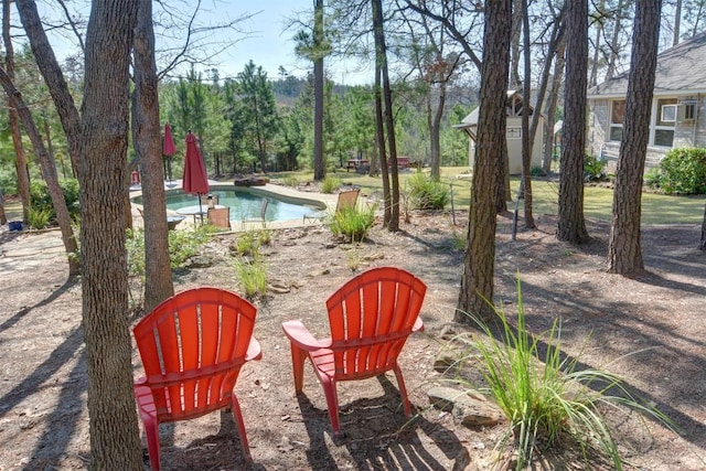 view of yard with a pool