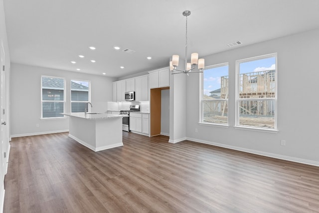 336 Blue Oasis Ln, Leander, TX 78641 - kitchen with appliances with stainless steel finishes, wood finished floors, a chandelier, white cabinetry, and recessed lighting