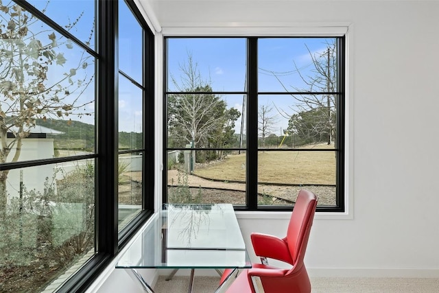 705 Ariana Ct, Austin, TX 78746 - photo 16