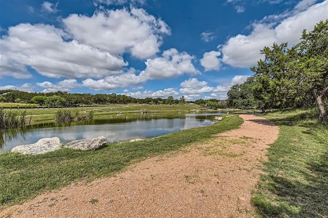 19217 Lost Tree Cv, Spicewood, TX 78669 - water view