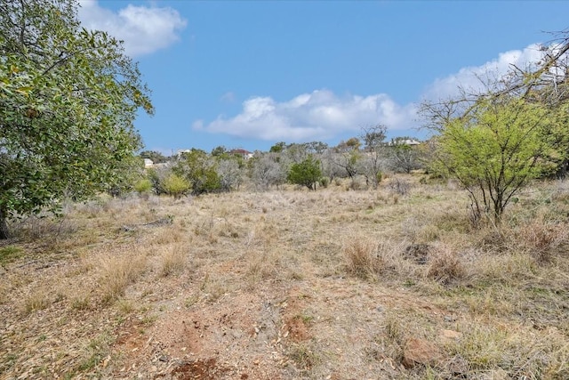 view of local wilderness with a rural view