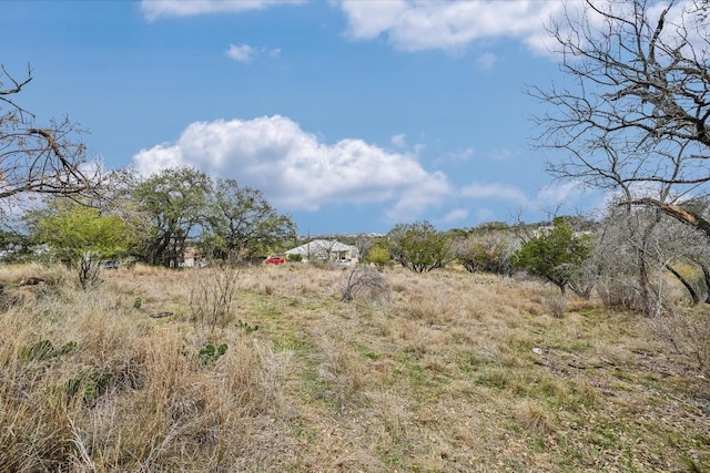 view of local wilderness