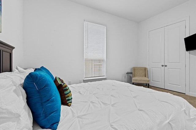 872 Wild Pecan Loop, Buda, TX 78610 - bedroom featuring carpet and a closet