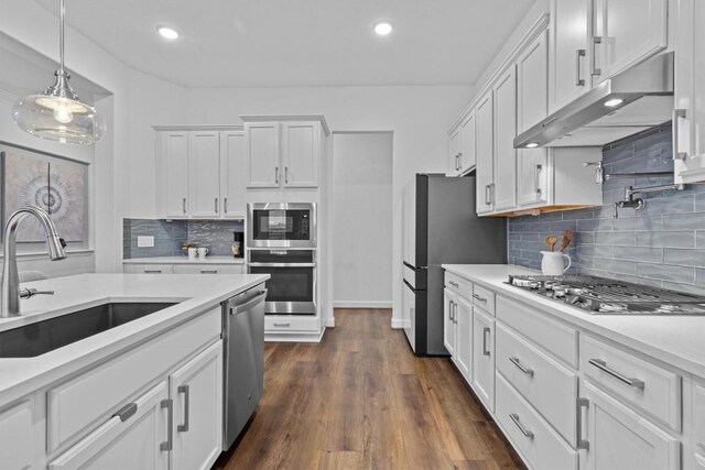 872 Wild Pecan Loop, Buda, TX 78610 - kitchen featuring appliances with stainless steel finishes, a sink, under cabinet range hood, white cabinetry, and light countertops