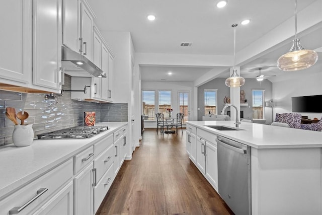 872 Wild Pecan Loop, Buda, TX 78610 - kitchen featuring stainless steel appliances, a sink, under cabinet range hood, recessed lighting, and dark wood-style flooring