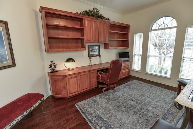 11409 Cezanne Ct, Austin, TX 78726 - office with dark wood finished floors, ornamental molding, built in study area, and baseboards