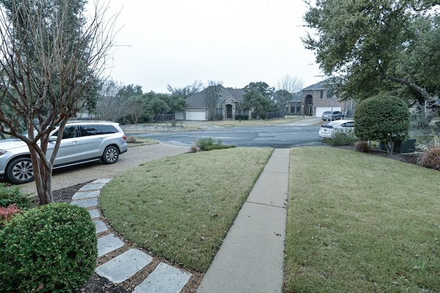 11409 Cezanne Ct, Austin, TX 78726 - view of grassy yard