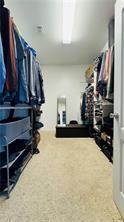 spacious closet featuring carpet floors