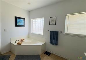 bathroom featuring tile patterned flooring and a washtub