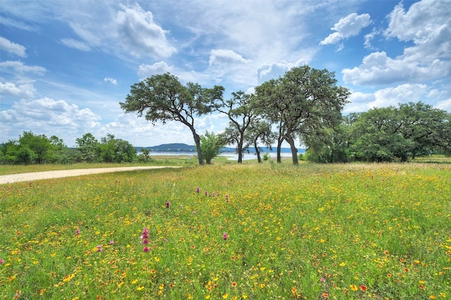 15600 Cedar Ledge St, Austin, TX 78734
