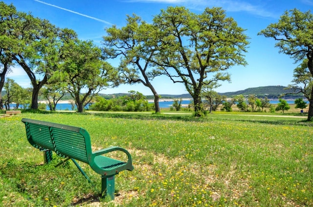 15600 Cedar Ledge St, Austin, TX 78734