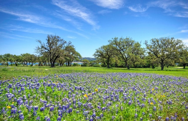 15600 Cedar Ledge St, Austin, TX 78734
