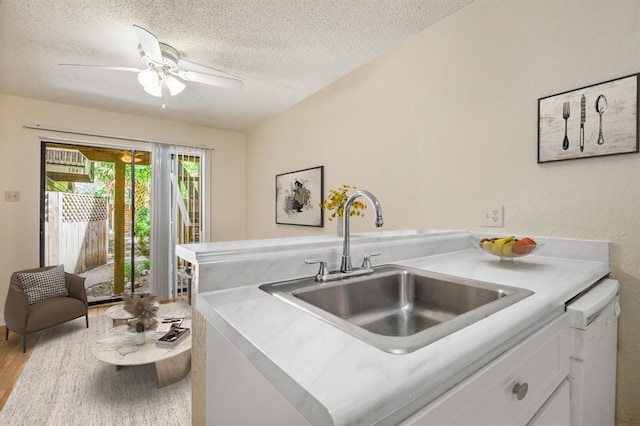 4205 Speedway Ave Unit 204, Austin, TX 78751 - kitchen featuring dishwasher, a sink, a textured ceiling, white cabinetry, and light wood-style floors