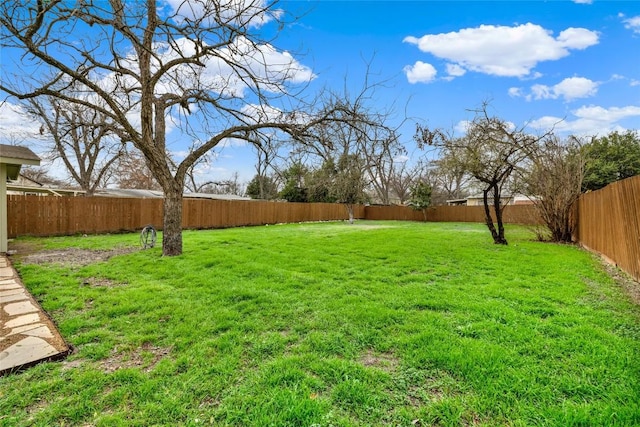 902 W Mill St, New Braunfels, TX 78130 - view of yard