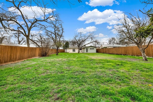 902 W Mill St, New Braunfels, TX 78130 - view of yard
