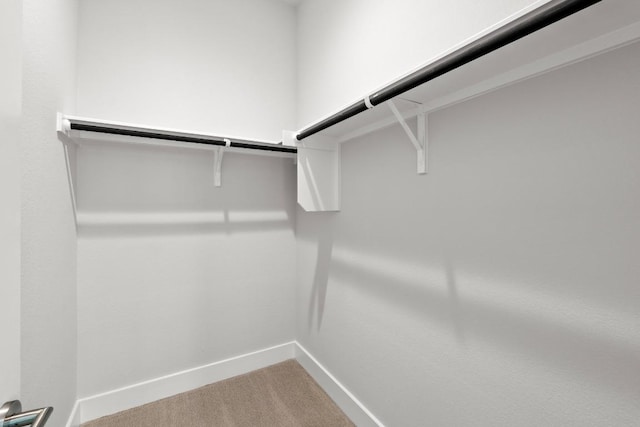 2707 Dulce Ln Unit 12, Austin, TX 78704 - walk in closet with carpet floors