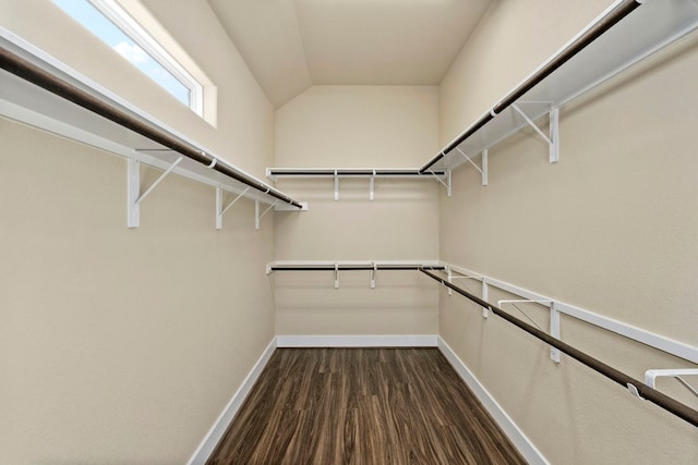 spacious closet with vaulted ceiling and dark wood-type flooring