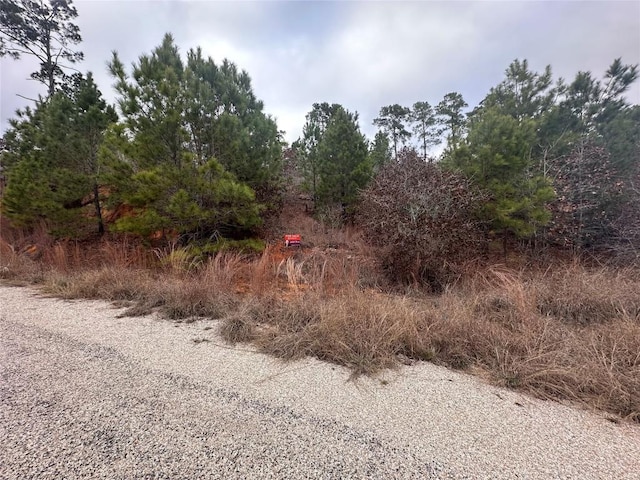 Listing photo 3 for LOT183/R32300 Keo Kea Ct, Bastrop TX 78602