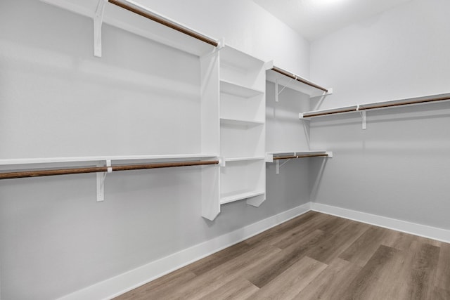 spacious closet with wood-type flooring