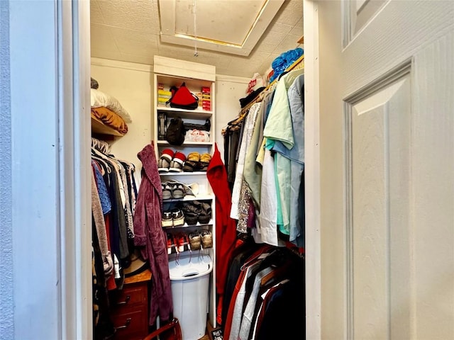 302 E Castlewood Dr, Granite Shoals, TX 78654 - view of walk in closet