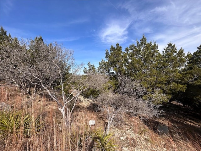 2603 Franklin Cv, Lago Vista, TX 78645