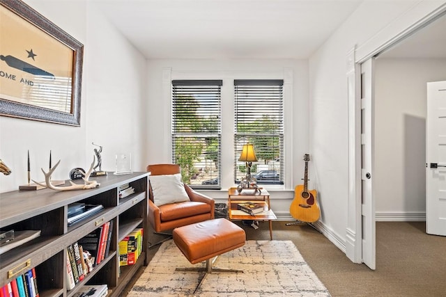 living area featuring carpet flooring