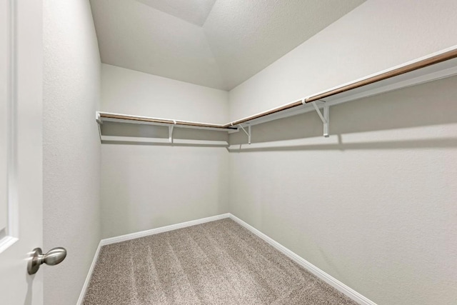 spacious closet featuring carpet