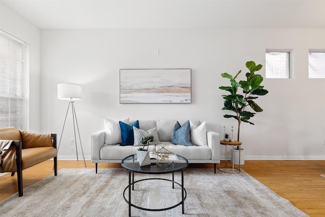 living room with hardwood / wood-style flooring