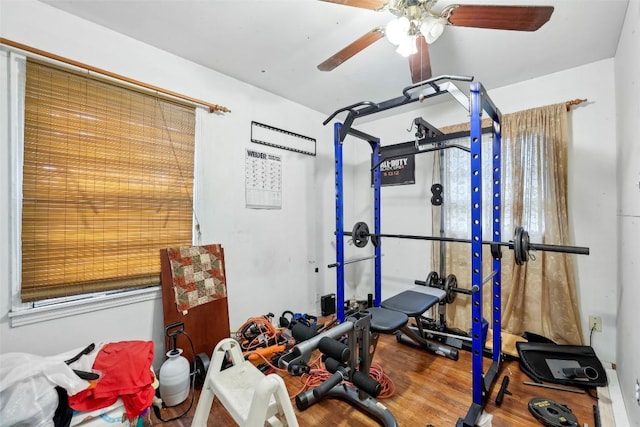 workout area with hardwood / wood-style floors and ceiling fan