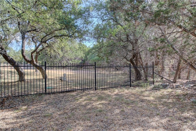 465 Hannah Dr, Dripping Springs, TX 78620 - view of yard