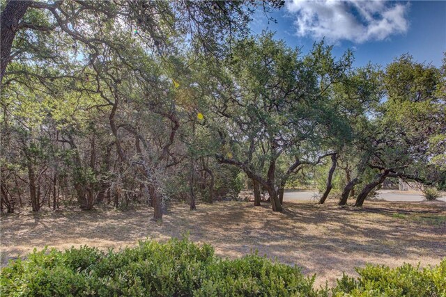 465 Hannah Dr, Dripping Springs, TX 78620 - view of yard