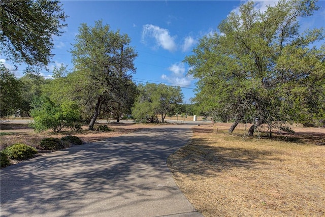 465 Hannah Dr, Dripping Springs, TX 78620 - view of road