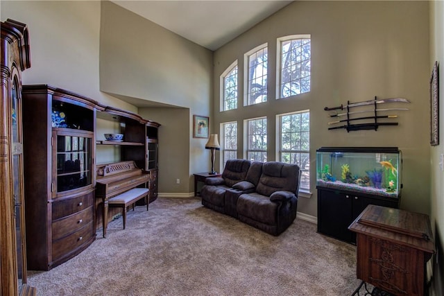 465 Hannah Dr, Dripping Springs, TX 78620 - carpeted living room featuring a high ceiling and baseboards