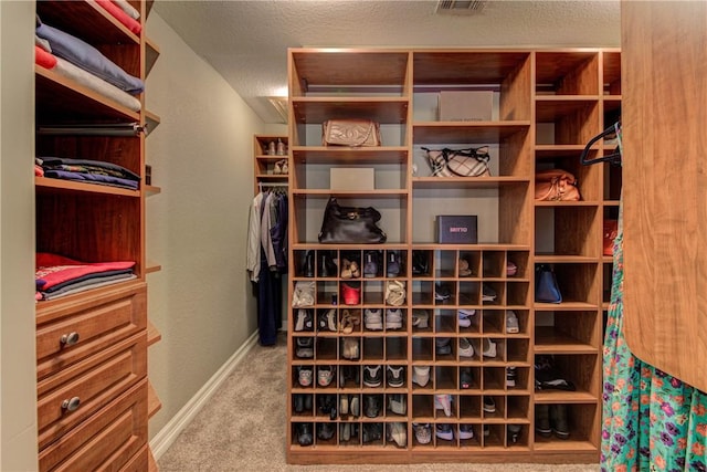 465 Hannah Dr, Dripping Springs, TX 78620 - spacious closet with carpet